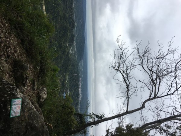 赤柯山、東獅頭山2748536