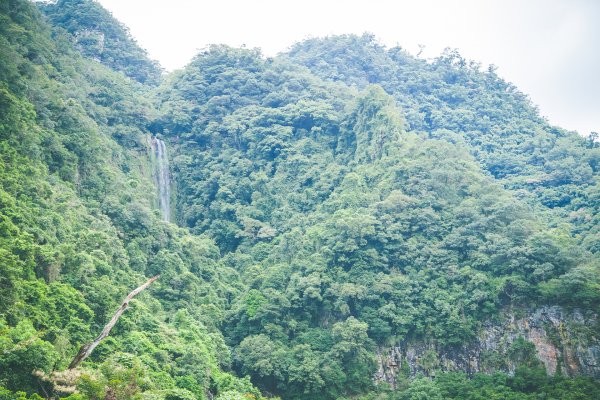 20180831~0901-[宜蘭] 聖母山莊步道1827934