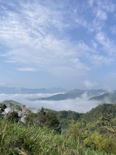 小格頭越嶺坪林2738356