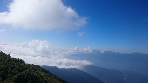 ¥步道小旅行¥合歡北峰1562