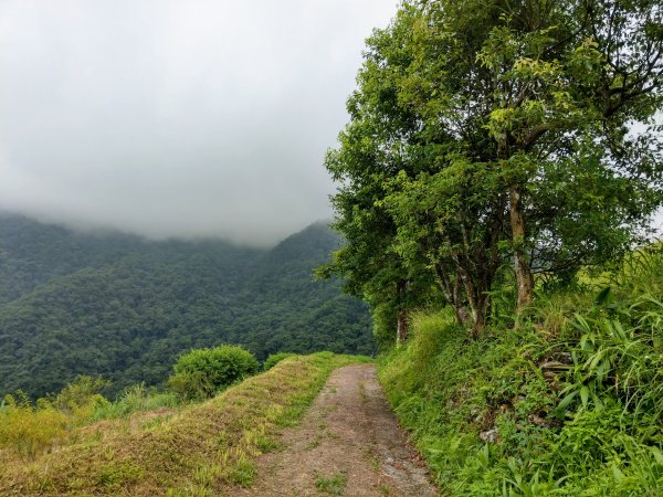 花蓮初音山(小百岳#88)1026599