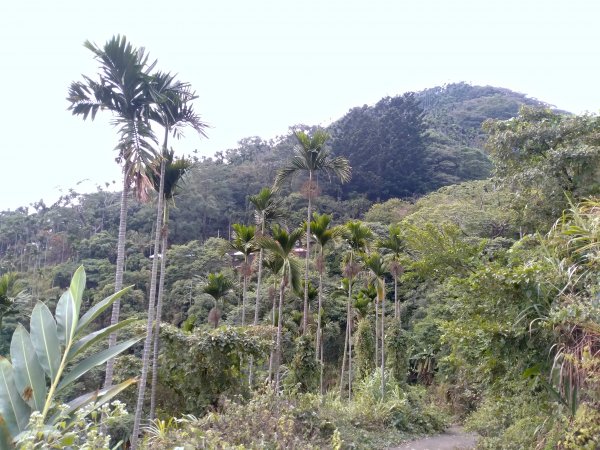 獨立山國家步道769224