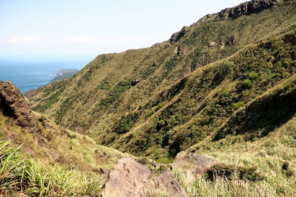 茶壺-半屏-燦光寮 早春286273