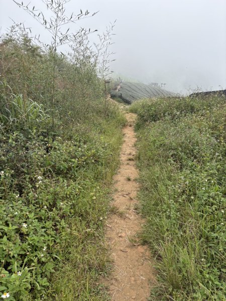 20251024雲嘉五連峰+碧湖山2924233