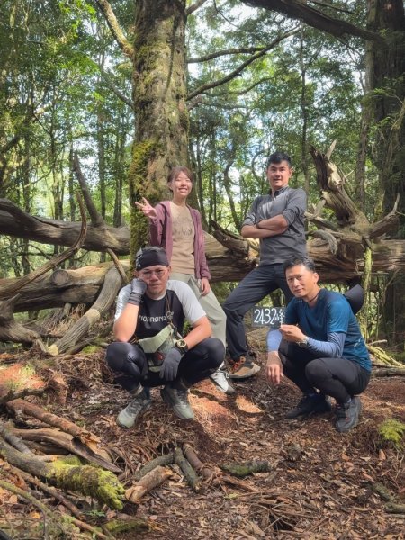 船型山林道賞雲海、烏石坑山、2432峰 山景海景一次到位2929303