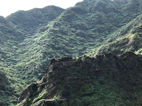 黃金十稜之茶壺山鋸齒稜劍龍稜201905051964331