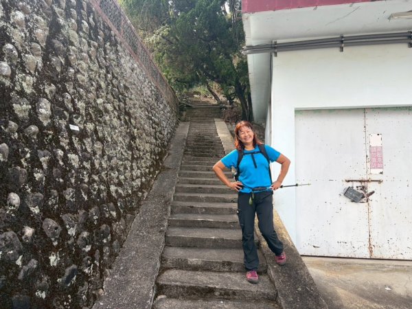 苗栗出磺坑古道、銅纙坑菊2951569