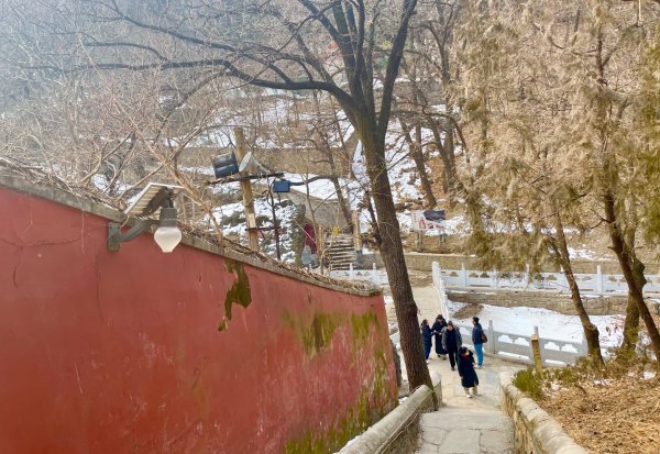 ㄧ路向北尋雪2994222