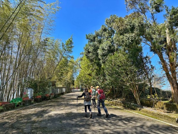 溪頭六連峰O繞2741730