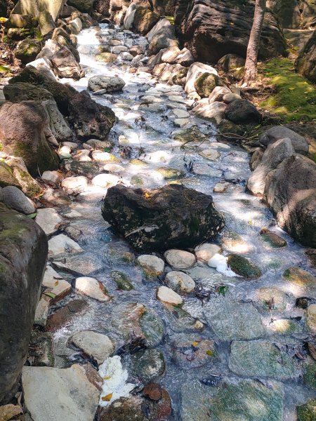 【行腳陽明山】初夏裡蒼翠欲滴的環七星山與百拉卡公路人車分道2188756