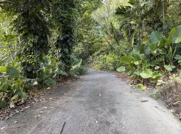 2025_1018 花蓮縣鳳林鎮鳳凰瀑布2921362