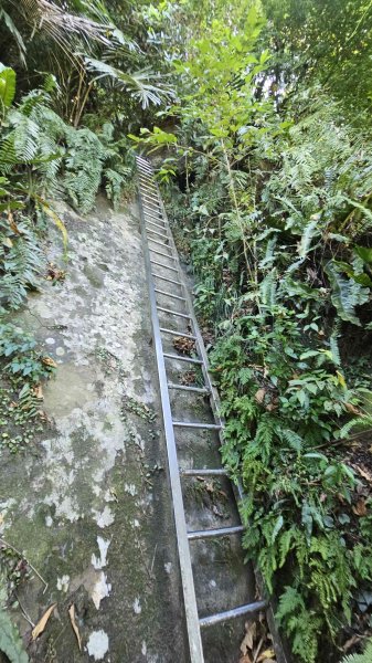 20250828尖山西峰-外挖子主北山-光明頂主前峰2873581