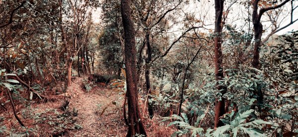 和平島公園，瑪陵尖東南峰，龍鳳山，萬壽山，北門，小南門，撫台街洋樓2044107