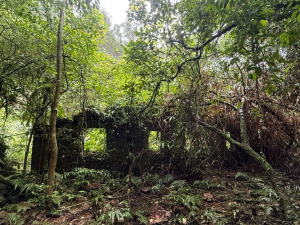 三林一后一紙及武山煤礦文化遺址8字行2991128