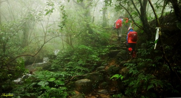 淡蘭古道深度旅遊~尋找古道上珍貴歷史遺跡754503