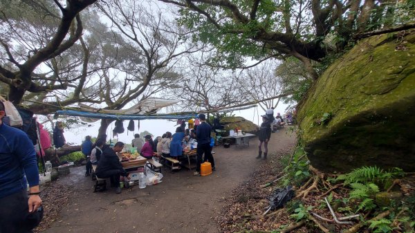 臺南白河關子嶺雞籠山步道1571888