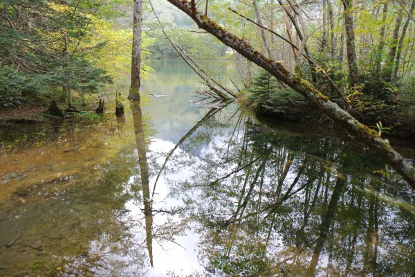 上高地河童橋735587