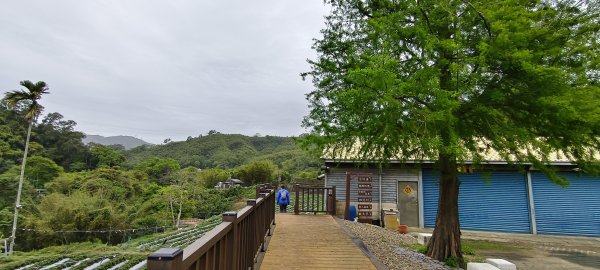 2025/04/13_大窩文史生態區步道2760228