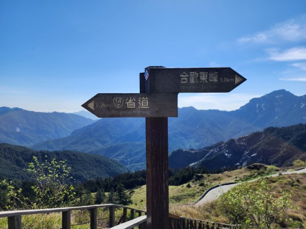 百岳No.35⛰合歡東峰2498787