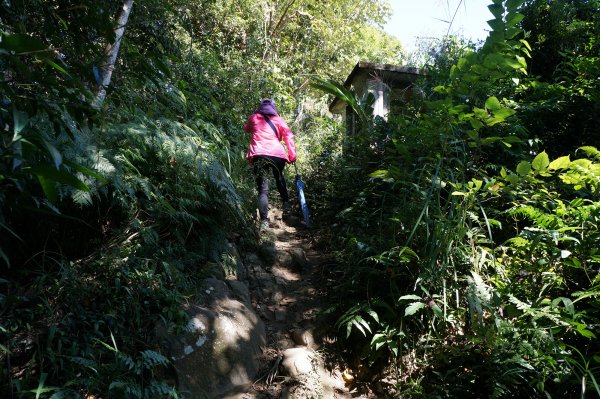 大艽芎古道-頭寮山720251