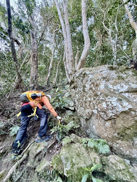 苗栗冷門山--蕃婆石山5基石連登   2026.01.112981369