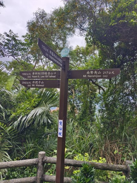 新北市-烘爐地山3053858