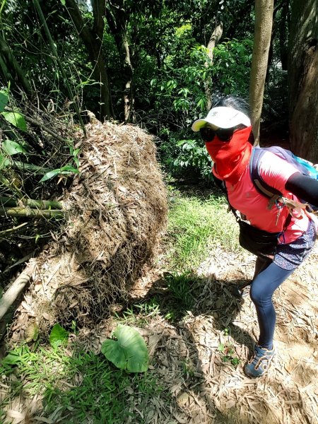 從中和上外挖子山面見烘爐地土地公爺爺945210