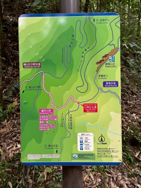 新竹 五峰 觀霧國家森林遊樂區 蜜月小徑+檜山巨木群步道2811444