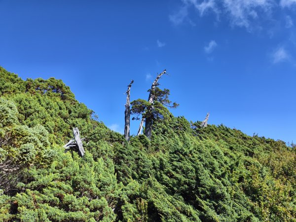 北一段(11/14)南湖北峰 2025_0906~132887302