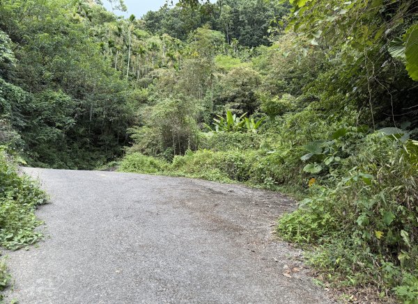 2025_1018 花蓮縣鳳林鎮鳳凰瀑布2921376