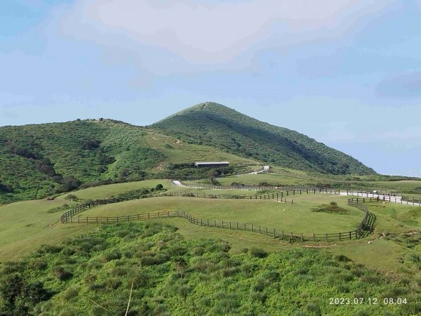 擎天崗環形步道2215630