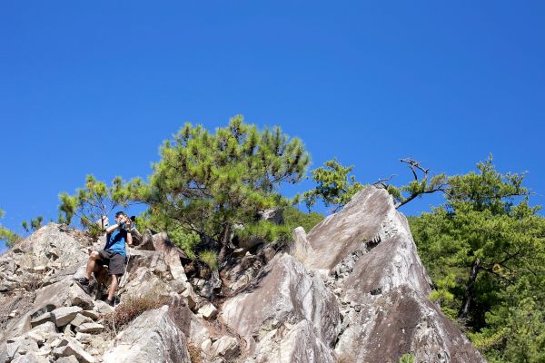 東卯山：東南稜晨曦405793