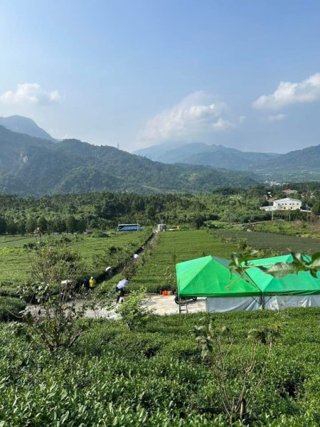 ［竹山］山坪頂茶山七星步道2909680