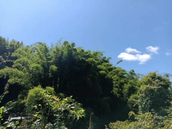 貢寮區文秀坑古道+觀日嶺步道O型2809162