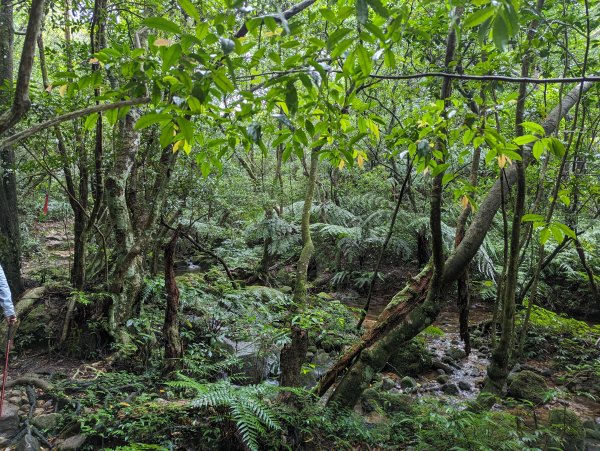 2023-10-22 臺北大縱走第四段2792953