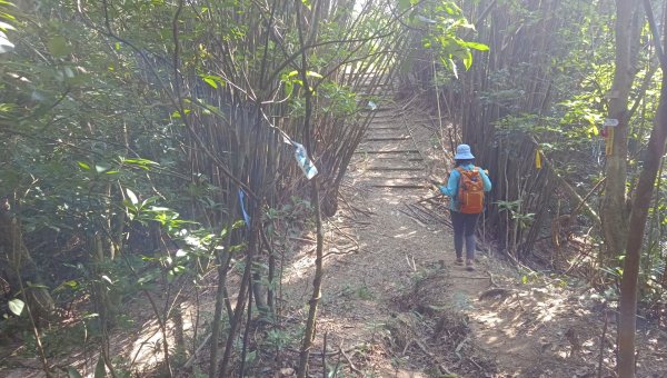 (姨婆趴趴走)第四十九集:攀登連走宜蘭梗枋山、橋板湖山2747726