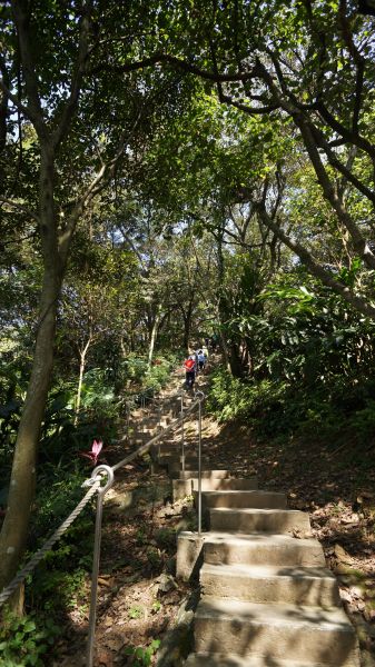 大棟山之縱302465