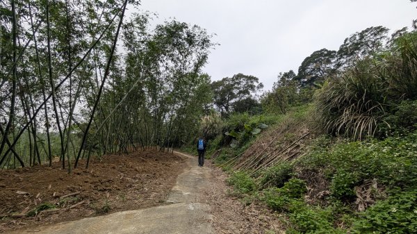 115.04.18寶山水庫+5連群峰之旅3039684