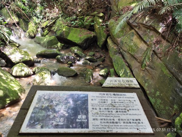 圓覺寺步道→新福本坑→碧湖步道→碧山公園→國立臺灣戲曲學院→碧湖公園→大港墘公園【臺北健走趣】2849248