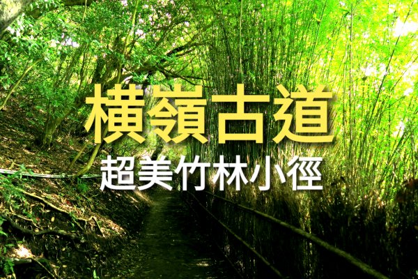 偽出國拍茂密竹林小徑，來陽明山「橫嶺古道」吧！