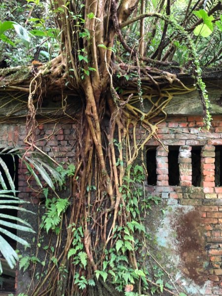 畝畝山、青林山、石古井、石硿子瀑布、石硿子古道O走1492840