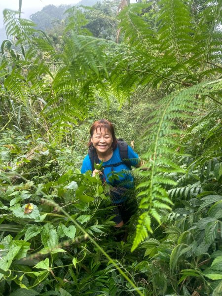 嘉義番路鄉三寶山步道2639300