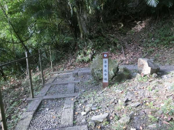 小烏來天空步道218757