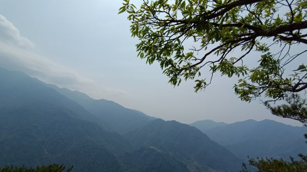 東卯山東南稜原路往返（德芙蘭步道小o繞）尋找失落的石觀音2082149