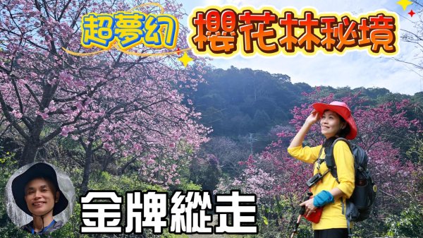 超夢幻櫻花林秘境，寒櫻、八重櫻、富士櫻…讓你拍照拍到手軟，季節限定，要去要快。經典路線金牌縱走，杉木林、桂竹林及大片孟宗竹林，彷如電影臥虎藏龍場景。