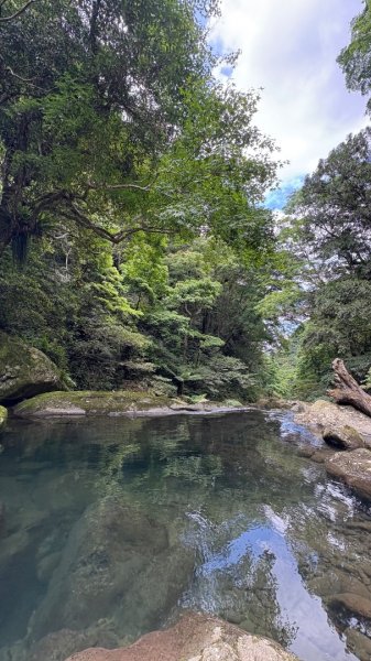 戲水（鴛鴦2786724