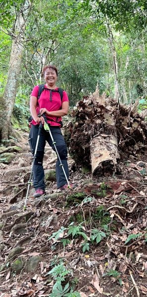 馬那邦山（珠湖登山口）2933977