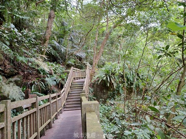 【苗栗南庄】沿途潺潺溪水聲。 蓬萊溪護魚步道2688933