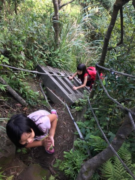 獅仔頭山隘勇線登山步道 小百岳No.20398283