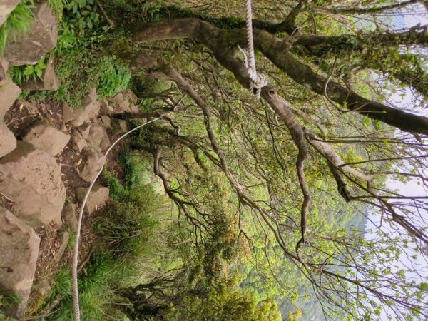 第二段：二子坪→小油坑2759591